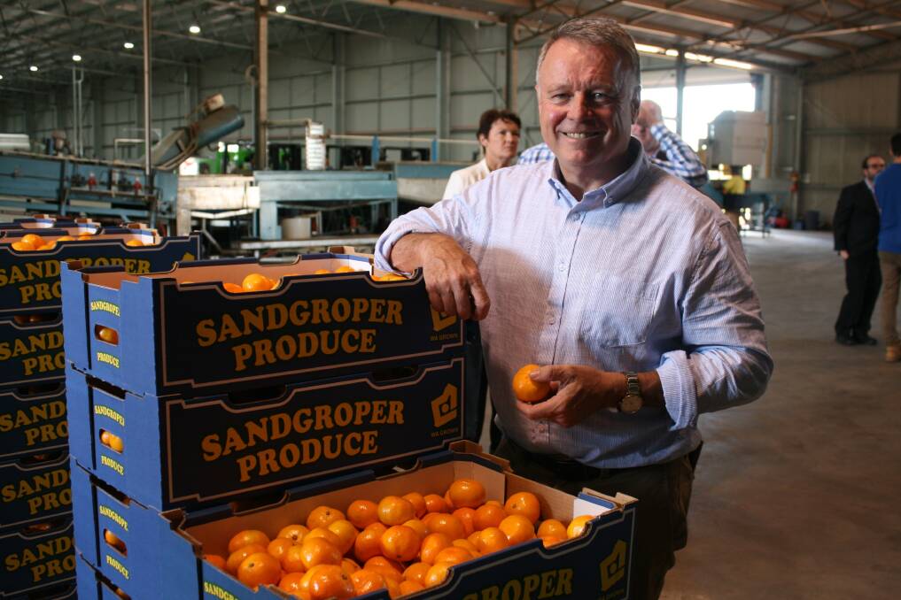 Shadow Federal Minister for Agriculture, Fisheries and Forestry Joel Fitzgibbon with locally-produced mandarins in the new $7 million Northern Valley Packers shed.