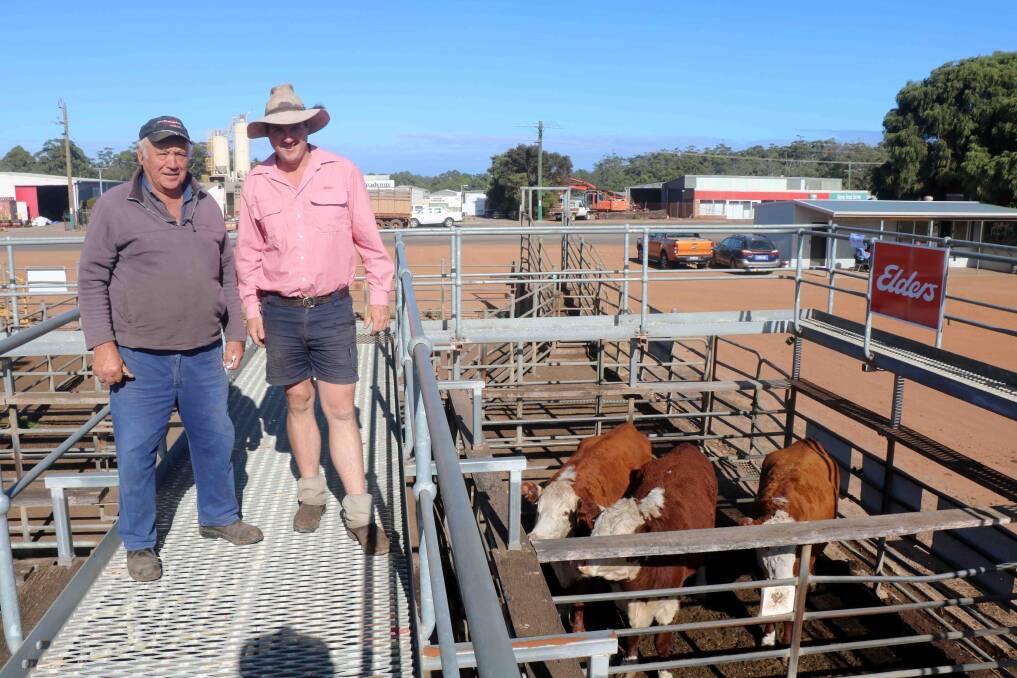 Tony Ciccone (left), Manjimup, sold cattle with Primaries and was pictured with Cameron Harris, Elders Manjimup, overlooking the three Hereford cows sold in the Elders section at the combined agent cattle sale at Manjimup last week.