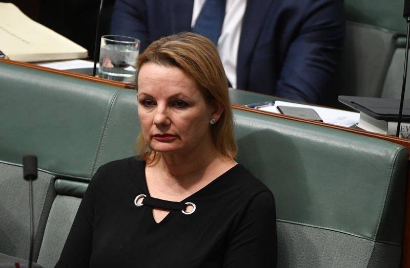 Liberal MP Sussan Ley.
