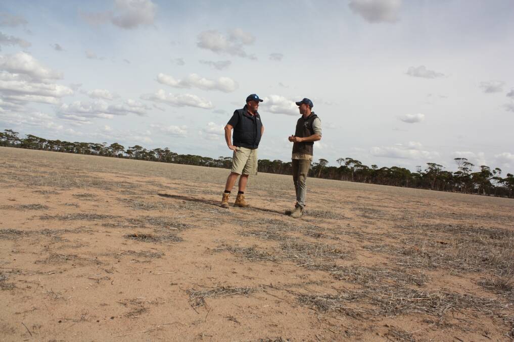 Primaries CRT Hyden branch manager Greg O'Neil and Hyden farmer Mitch Mouritz survey a 16 hectare block which could be earmarked for growing lucerne, as part of a diversification strategy. The idea is to build a dam and irrigate the lucerne for the lucerne hay market or as year-round green feed for stock.