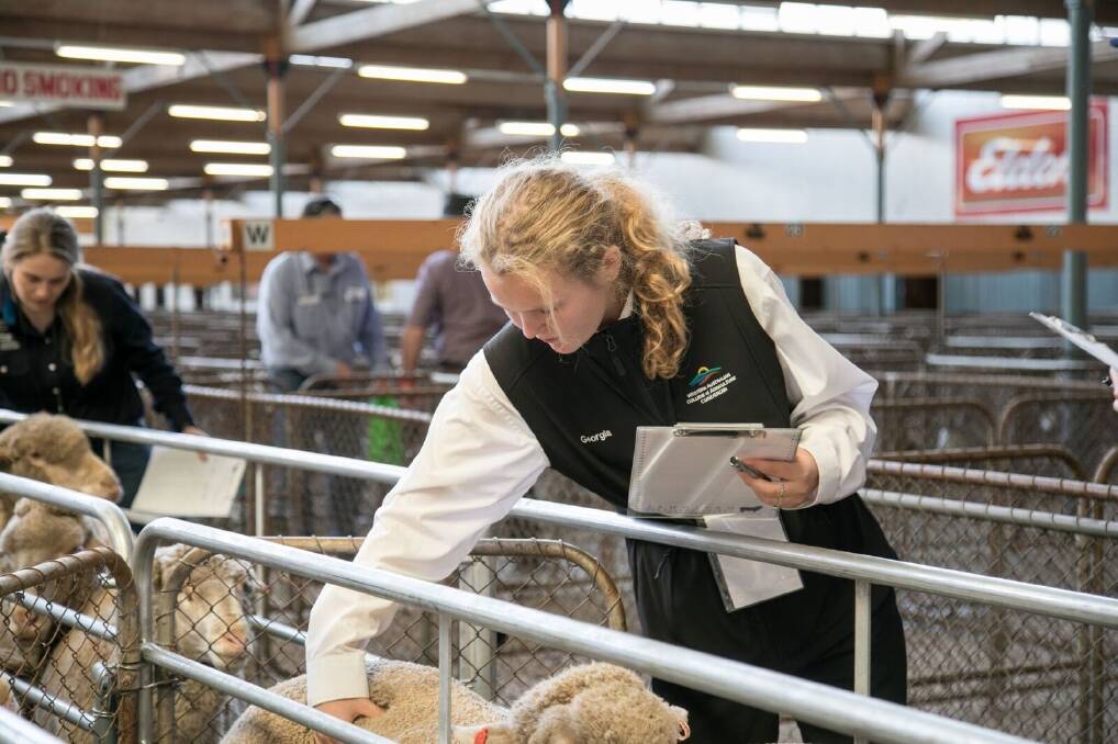 WA College of Agriculture, Cunderdin, Year 12 student Georgia Daws, Yealering, puts her knowledge to the test at the National Merino Challenge at Adelaide recently.