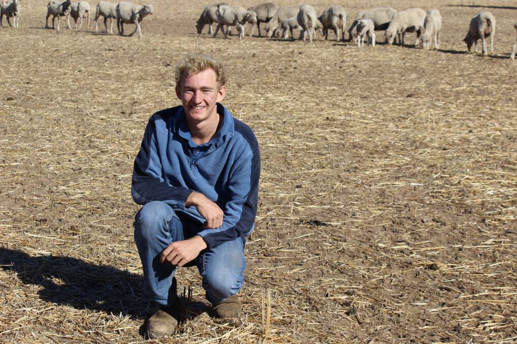 Trent McLean is a young farmer keen on the sheep side of his family's mixed enterprise in the Corrigin and Wickepin districts.