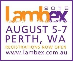 US food systems expert returns to LambEx in 2018