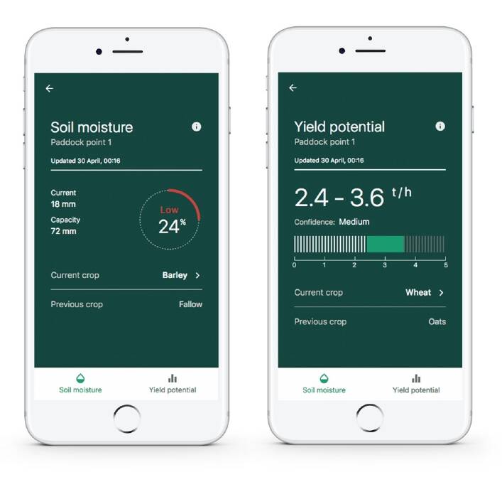  A new CSIRO app allows Australian farmers to forecast grain yield on their smart phones.