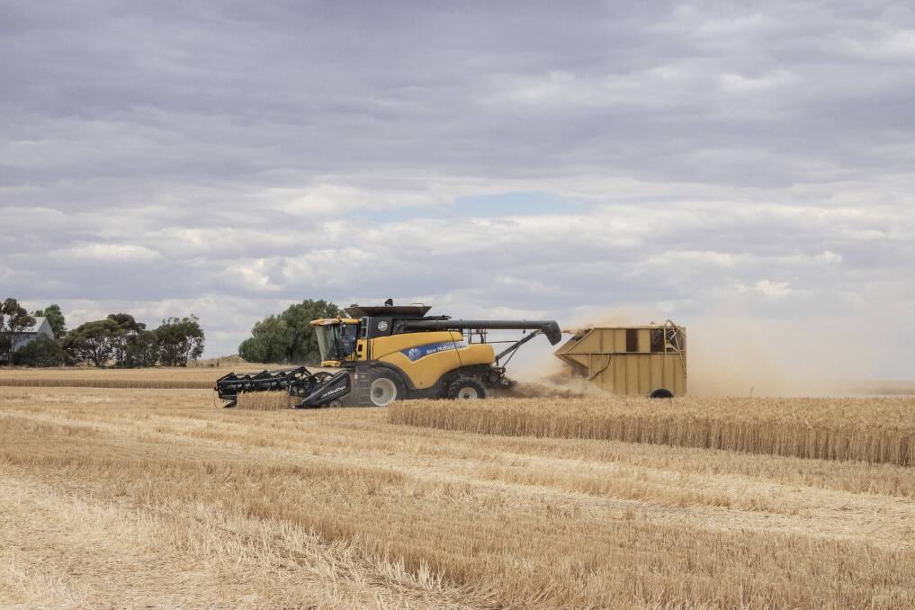  AgPro Management consultant, Ed Riggall has been validating the anecdotal evidence of the value of chaff heaps as a stock feed option for the past three years and has proven that there is money to be made from using chaff heaps (and probably chaff lines) as a summer feed source for sheep.
