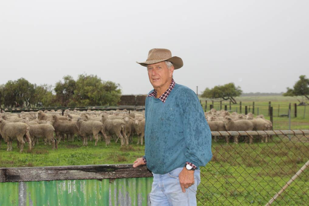Rain poured down on Brian White and his sheep at Nambung station, West Badgingarra, last week but you won't find him complaining.