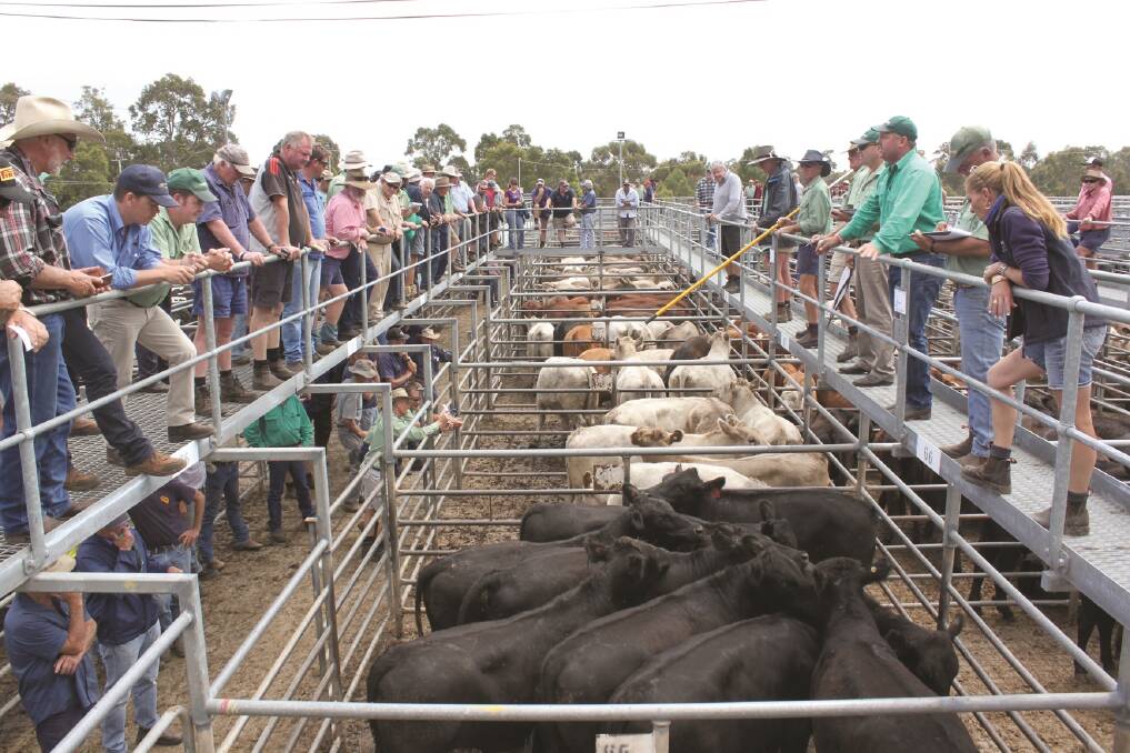 The Boyanup saleyard site is on Crown land and trusted to the Shire of Capel to be used as a saleyard. The future of the yards continues to be an ongoing discussion.