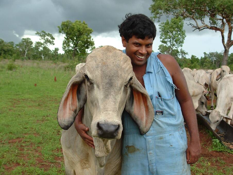 Live export defender and cattle production veterinarian Gehan Jayawardhana, Darwin, enjoys the hands on nature of his work.