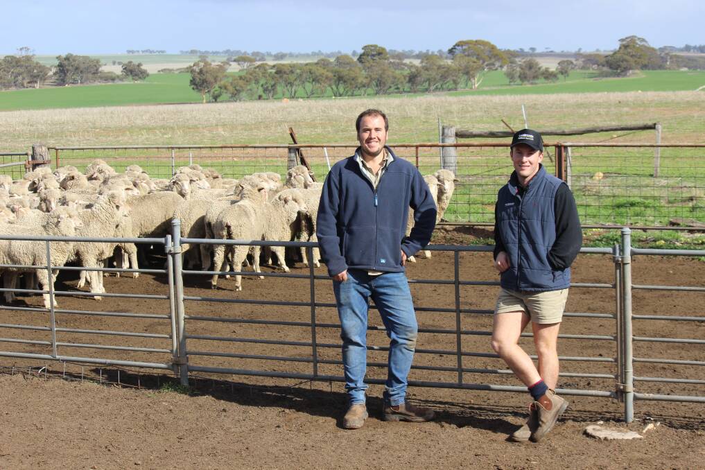 Corrigin producer Callum Nicholls (left) with James Culleton, Landmark Corrigin, in the yards last week after weighing hoggets which had come off a crop and pasture grazing trial conducted with the Corrigin Farm Improvement Group.