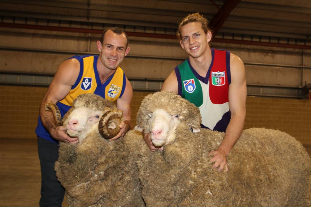 West Coast Eagles captain Shannon Hurn (left), is now part of the Australian Wool Innovation (AWI) Fibre of Football campaign alongside Fremantle Dockers captain Nat Fyfe and last week they joined forces to promote the wool industry. Photo: Kane Chatfield.