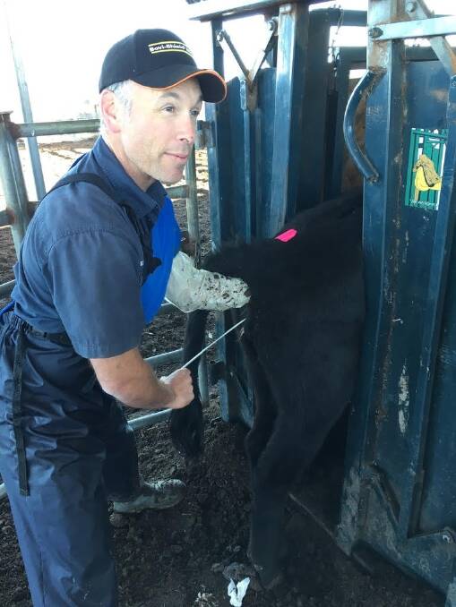 Dr Enoch Bergman will be at the Muresk Institute, Northam, on Monday, August 13 where he will deliver his ‘Building a Better Cow’ presentation.