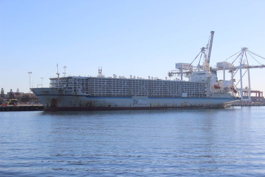 The livestock vessel Al Shuwaikh at Fremantle Port.