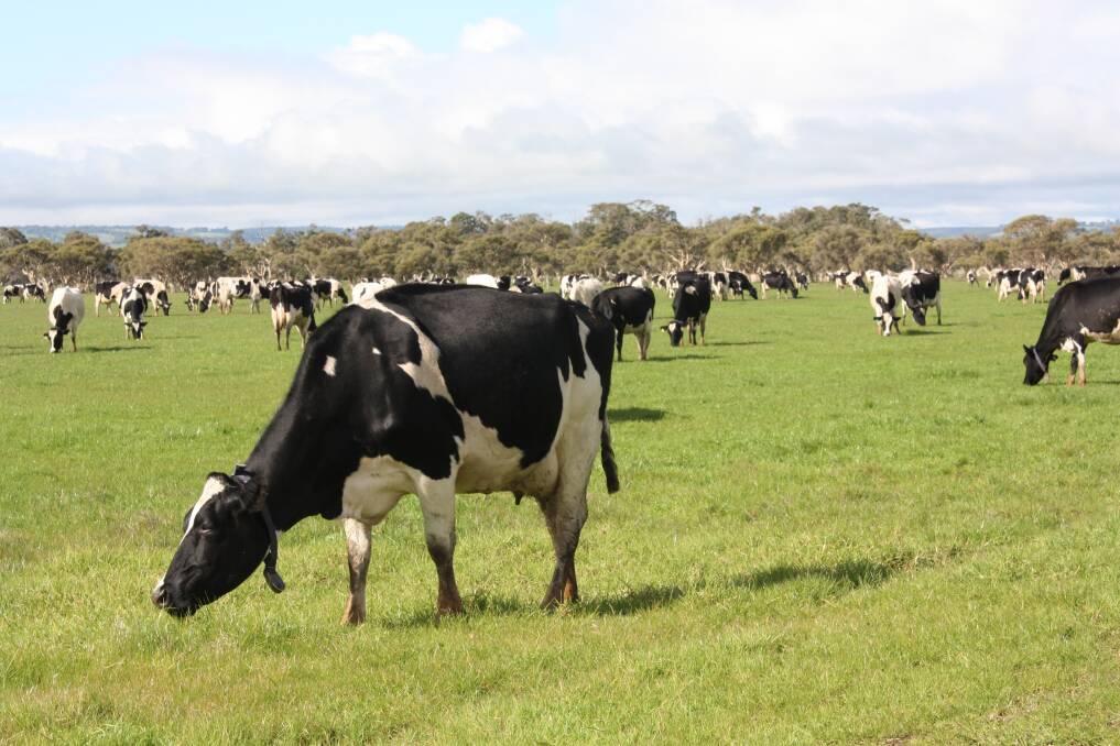 WA dairies up with the best of them