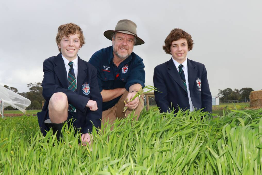 Year 8 Great Southern Grammar students Matthew Lamont (left) and Harrison Dolan with agriculture teacher Julian Gugenheim, who have all been involved in a variety naming project with InterGrain. The new noodle variety will be launched tomorrow in Albany.