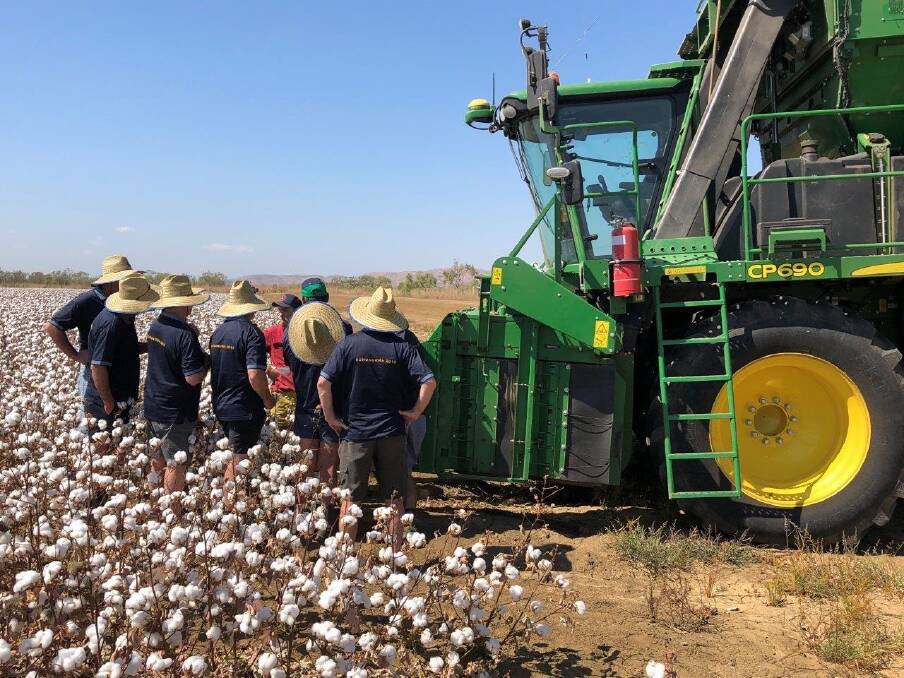  Cotton harvesting at Ord Valley, where the group had the chance to experience a different type of header set up.