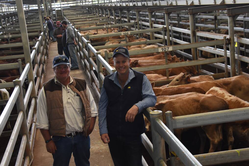  Vendor Jamie Richardson, Mount Florance station, Wittenoom, looked over his cattle in the sale with his Primaries agent Shane Flemming. Mount Florance has offered cattle in all three sales held by Primaries this year at the Muchea Livestock Centre and in last week's sale they offered 350 steers and heifers from its Charolais/Charbray herd.