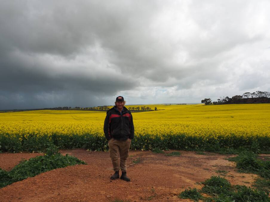  Eganu farmer and Spring Field Day host Tim Hayes, with one of his canola crops that flourished after favourable rainfall this season.
