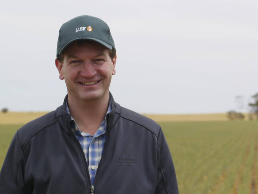 CSIRO farming systems scientist Rick Llewellyn said the new Barley Grass RIM tool allowed users to look at long-term management scenarios, impact on barley grass numbers and the profitability of a range of combinations of control strategies.