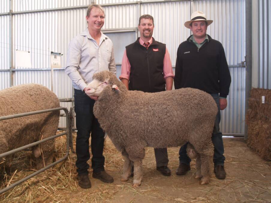 With the top-priced Poll Merino ram which sold for $16,750 to the Arra-dale stud, Perenjori, are East Mundalla co-principal Daniel Gooding (left), Elders auctioneer Nathan King and Landmark Breeding representative Mitchell Crosby, who purchased the ram on behalf of the Sutherland family, Arra-dale stud.