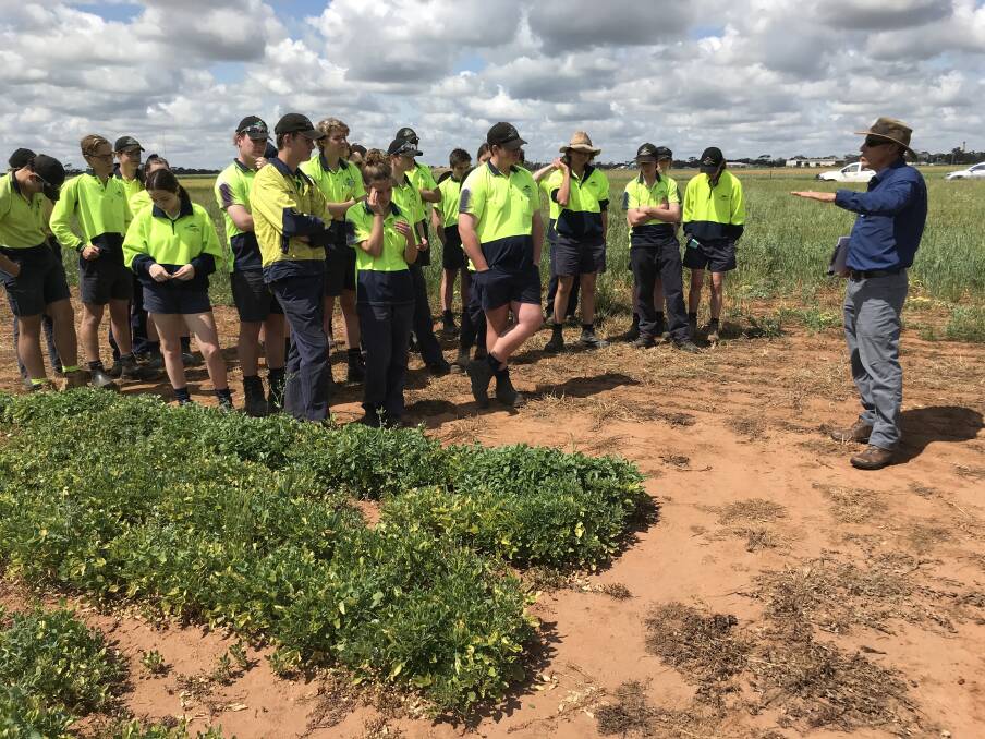  DPIRD's Daniel Real speaking to WA College of Agriculture, Cunderdin students.