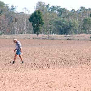 Program to ease pain of drought proves popular