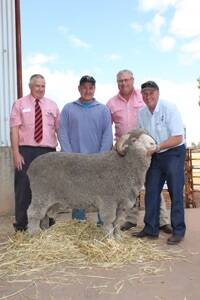 With the $8800 top price ram at the third annual Woodyarrup on-property ram sale at Broomehill on Monday were Elders Wyalkatchem agent Russell Wood (left), buyer Quentin Davies, Cardiff stud, Yorkrakine, Cardiff and Woodyarrup classer Kevin Broad, Elders stud stock and Woodyarrup stud principal Craig Dewar.
