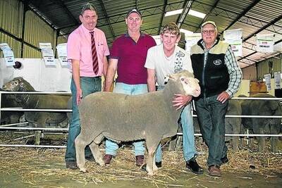 Elders Williams branch manager Graham Ilich (left), Steven Abbott, Capercup Dohne stud, Moodiarrup, Far Valley stud principal David Kain and Dohne Merino Society breed director Cameron McMaster, South Africa, with the top priced ram Mr Abbott bought for $2600.