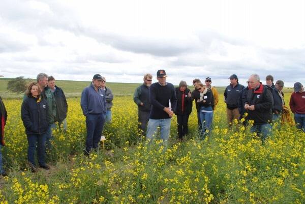 Stephen Davies, of the Department of Agriculture and Food Western Australia (DAFWA), explains a GRDC funded non-wetting soils trial at Badgingarra to GRDC western panel members, GRDC board members, grower members of the West Midlands Group and consultants.