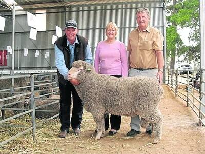 This Poll Merino topped Monday's Angenup sale at $5400 and is held by Angenup co-principal Paul Norrish (left)  for the buyers, Shirley and Brian Westlake, Dabrappy stud, Calingiri.
