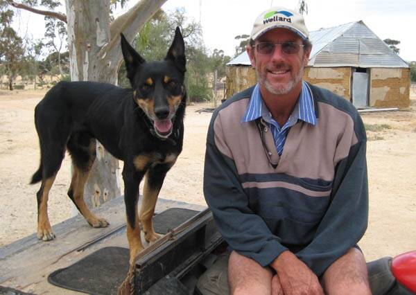 Teammates: Gordon Curtis and his trusty kelpie Binnaburra Tuff have picked up top gongs in sheepdog championships around the nation.