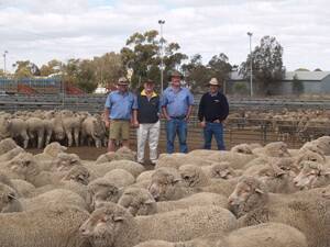 With some of the line of the record-priced ewes from David and Joanne Curtin, Gerradayl Farm, Ongerup, which sold for $146, were FarmWorks agents Lincon Gangell (left) and Noel Parkin, buyer, David Bagley, Mingenew and Primaries Northampton agent Craig Walker.