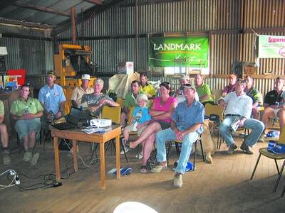Producers and industry representatives at the Landmark/Pfizer feedlot information day, held at Trevor and Sharon Hinck's property at Hyden last week.