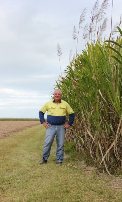 Herbert River Canegrowers chairman Michael Pisano said the tariff cuts were good news for the industry.