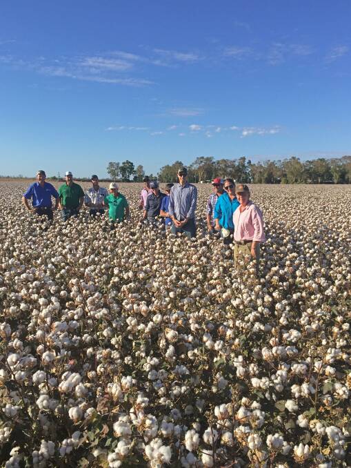 Cotton growers and industry representatives from the Northern Territory toured southern growing regions last week. 