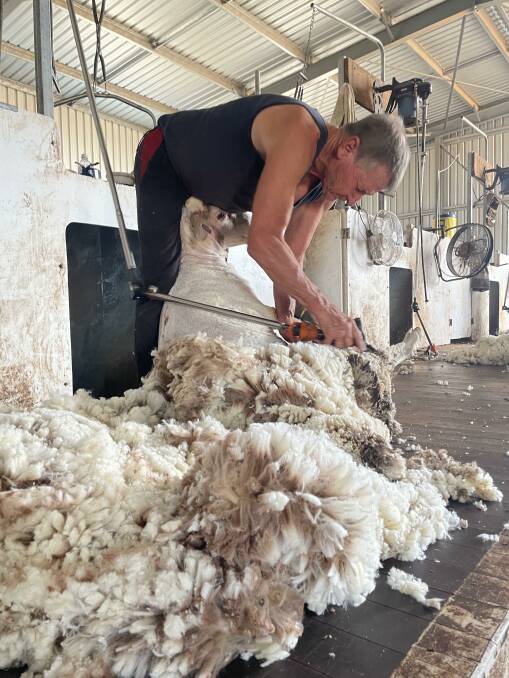 Mr Paterson on the board in a recent shearing program near Mukinbudin.