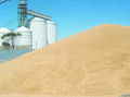 A CBH spokesperson said access would be at a select number of sites, which would vary depending on when the grain is required, the volume of grain needed and fumigation protocols.