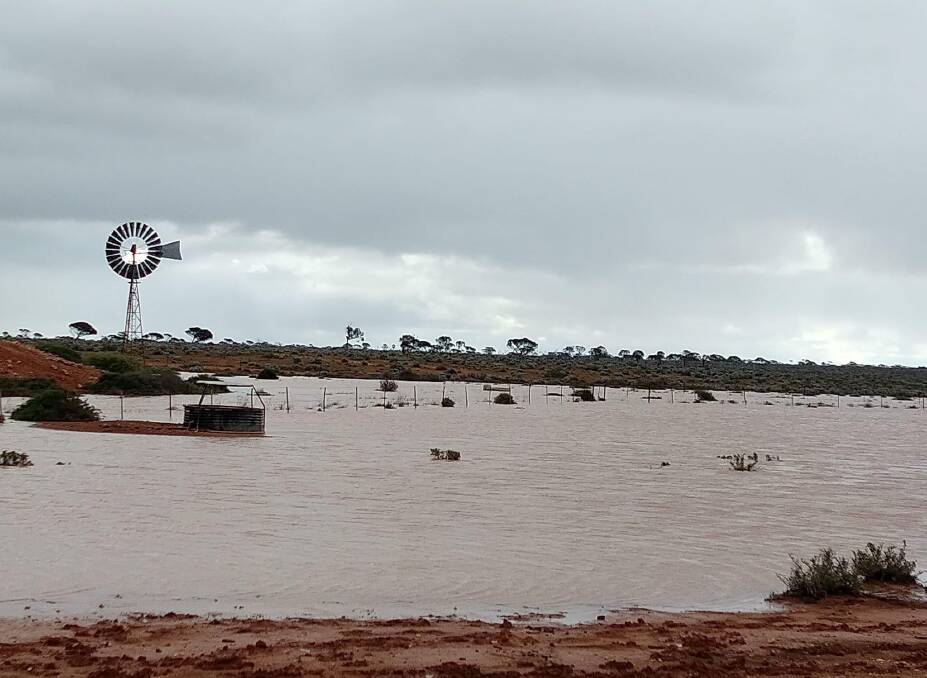 Recordings from rain gauges at the homestead and across watering points reached 50mm through to a hefty 94mm on a major dam.
