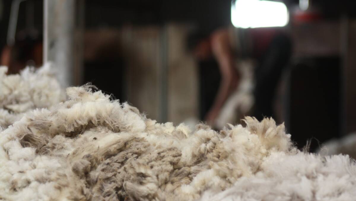 The WA WoolTAG committee are open to ideas from interested persons on what improvements could be made to encourage uptake and retention in the shearing and woolhandling industry.