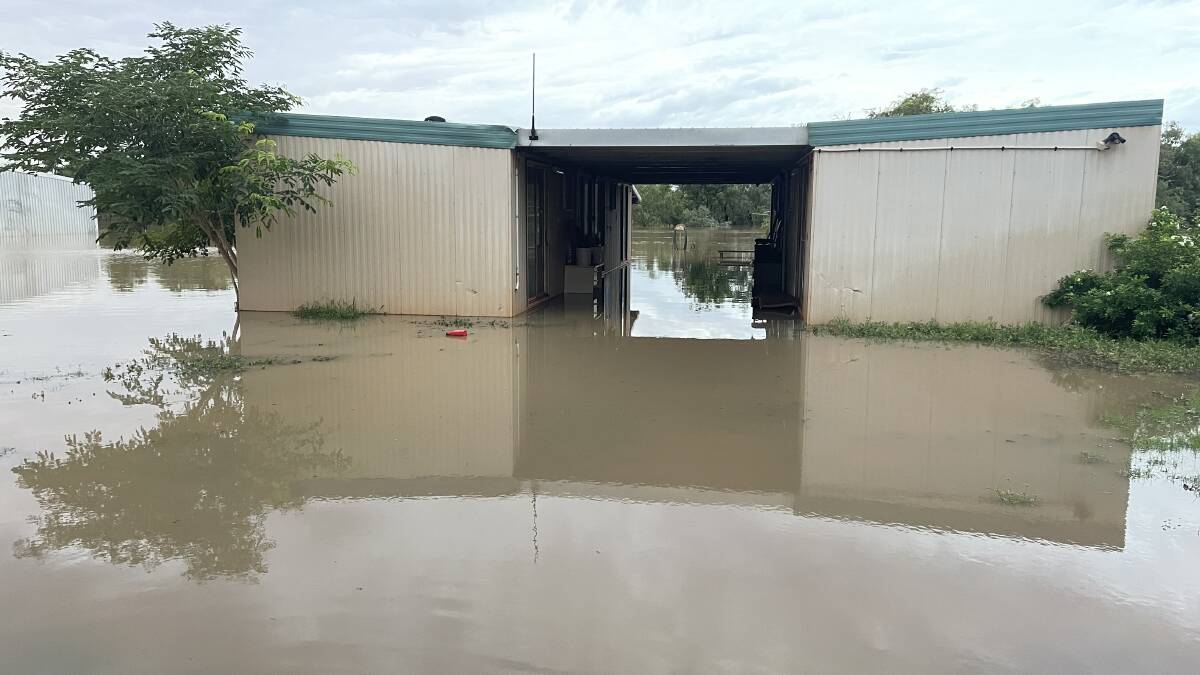 It is hard to believe the area impacted by the Kimberley floods now looks like any normal wet season. Picture supplied.