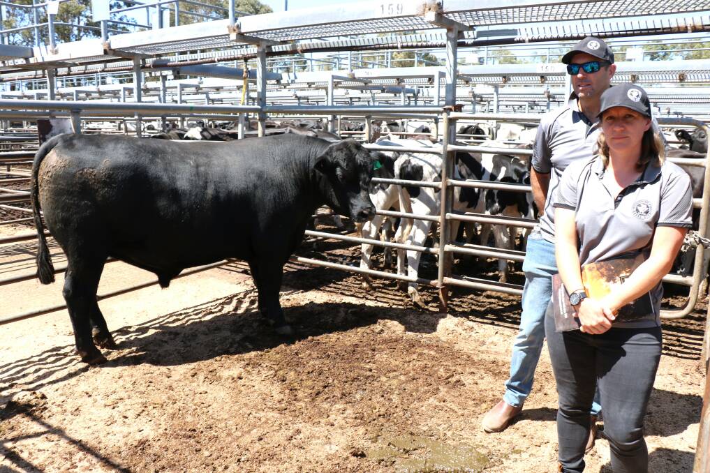 Prices topped at $11,500 in the Whispering Pines Angus bull sale at Boyanup last week when this bull sold to Cima Farm, Napier. With the bull were Whispering Pines stud principals Clayton and Clare Trigwell.