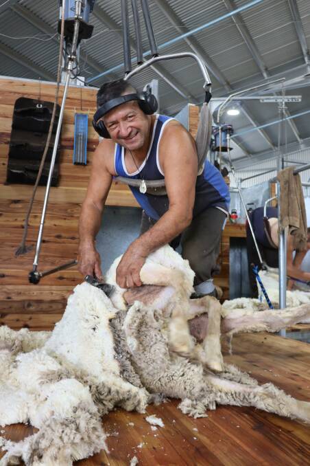 T&K Shearing shearer Nikora Sullivan.