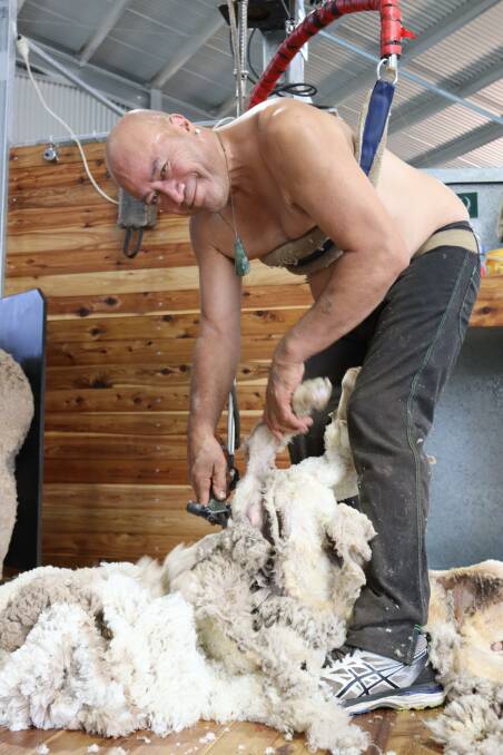 T&K Shearing shearer Butch Kingi.