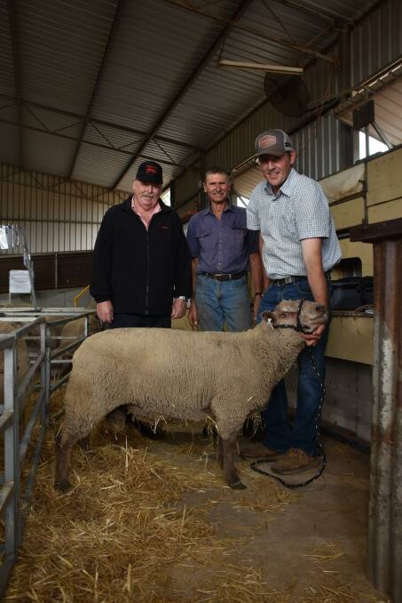In the Charollais side of the catalogue prices topped at $1500 twice. With one of the $1500 top-priced rams was Elders, Boyup Brook agent Peter Forrest (left), buyer Tim Bleechmore, Tara Grazing, Boyup Brook and Venturon Livestock co-principal Harris Thompson. Along with buying one of the top-priced Charollais rams Mr Bleechmore was also the sales volume buyer purchasing all up seven Charollais sires at a $1214 average and nine White Suffolk rams at an $878 average.