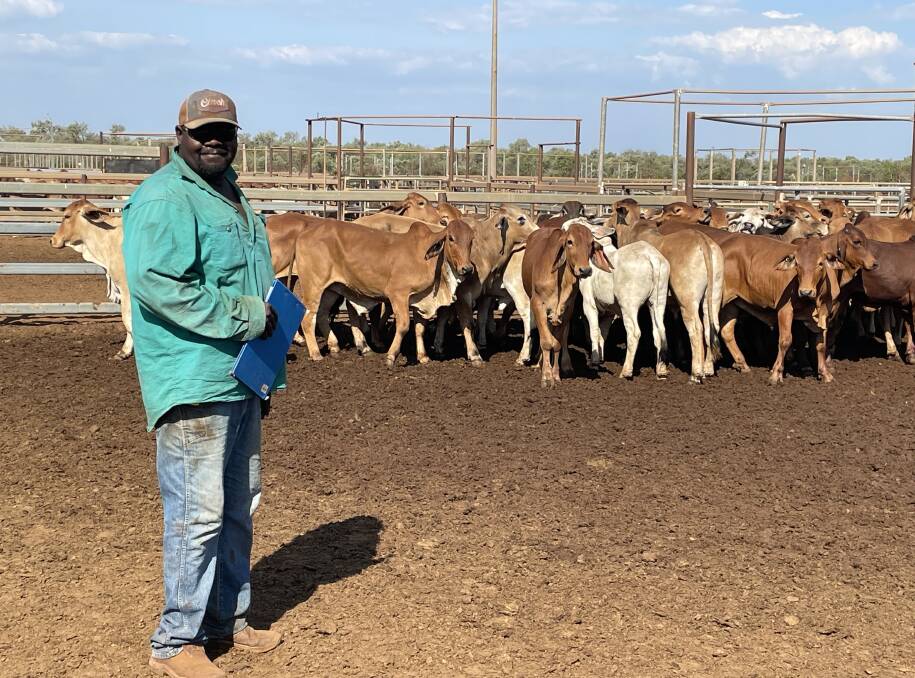 Roebuck Export Depot stockman Winston Gordon. Photo by Kimberley Pilbara Cattlemens Association chief executive officer Bron Christensen.
