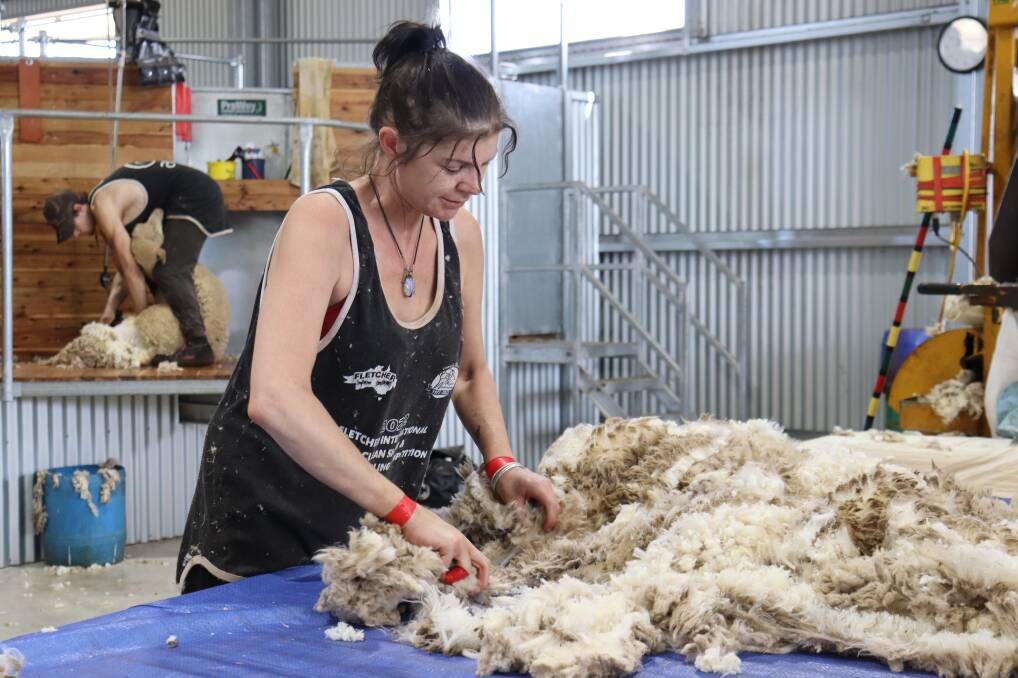T&K Shearing roustabout Teegan Cheshire.