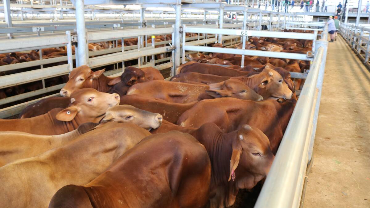 Western Australian Meat Industry Authority (WAMIA) non-statutory fees are set to increase next Thursday, February 16, due to a number of contributing factors.
