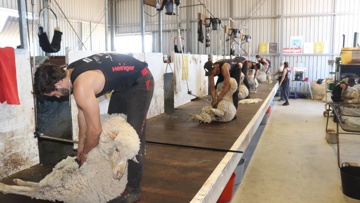 There are three courses available as part of the training including novice, paid improver and a woolhandling workshop.