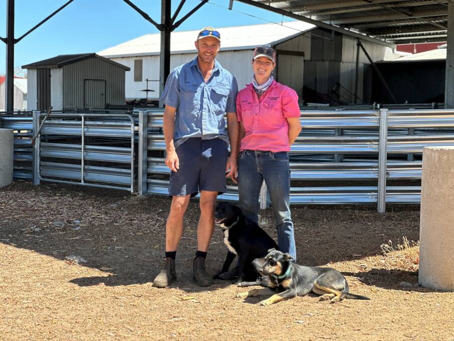 
Pine Ridge managers Brad and Kirsten Skraha, Scotts Brook, were happy to win the WAMMCO Producer on Month award for November with a line of Poll Dorset-Merino cross lambs.