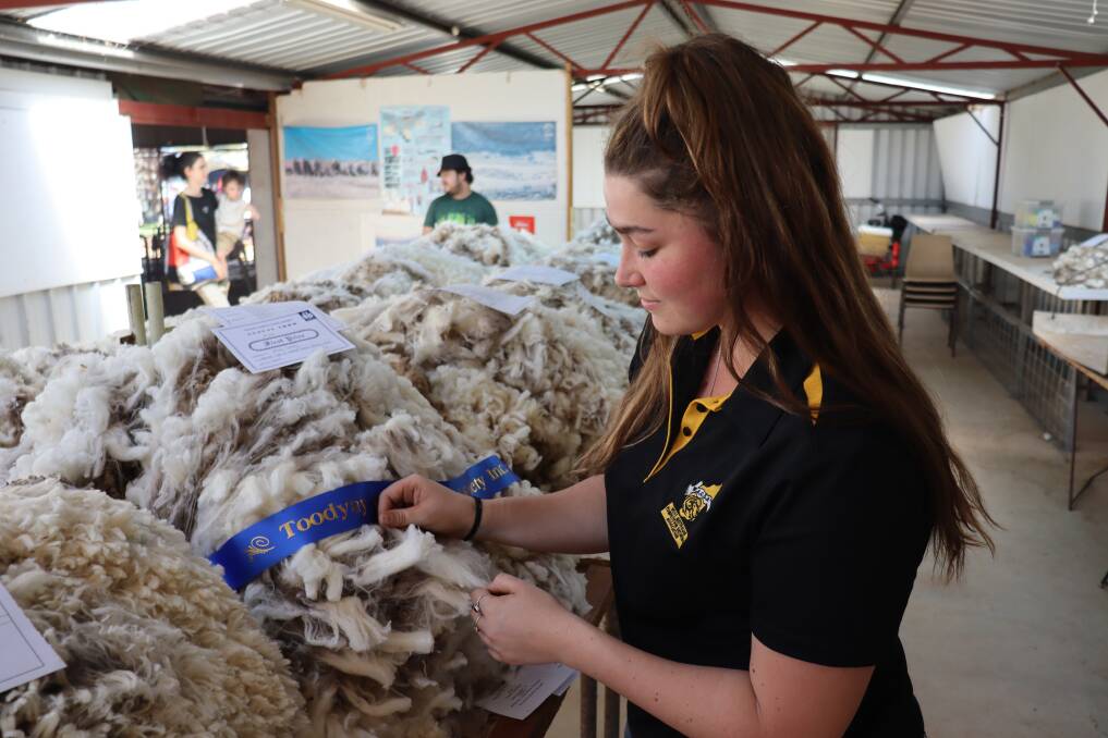 Ms Baker judging wool at the Toodyay Agricultural Show in early October.