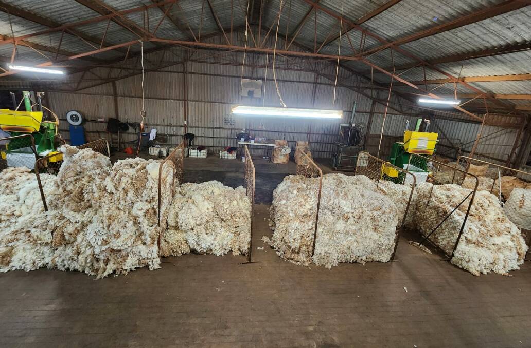 This shearing busy hands of both new and old gun shearers worked their way through 31,800 Merinos, including 7,000 lambs.